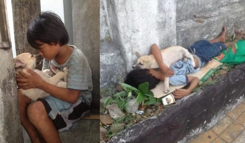 Es la fiel muestra de que el amor lo puede todo. Este niño rescató al perrito, lo abraza y le canta canciones para que pueda dormir.